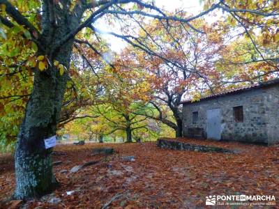 Senda Viriato; Sierra San Vicente; patones rutas embalses comunidad de madrid rutas por la sierra de